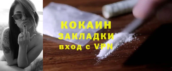 прущие грибы Абаза
