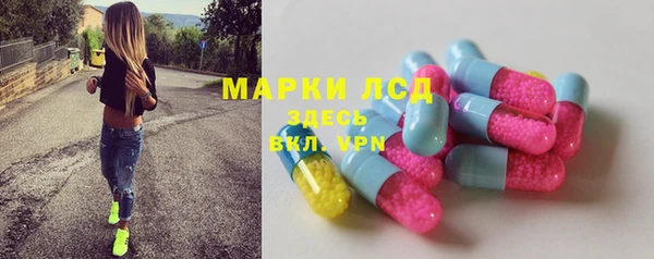 стаф Сатка