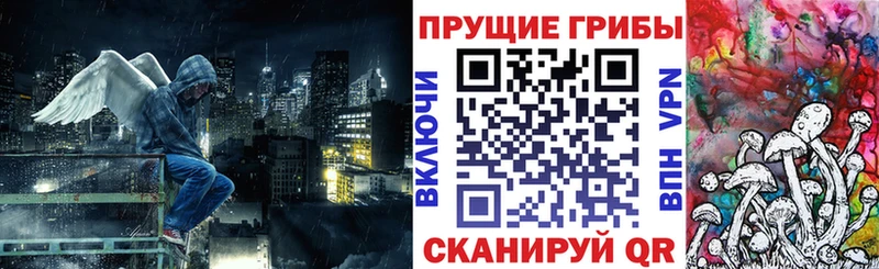Галлюциногенные грибы мицелий  купить   Вытегра 